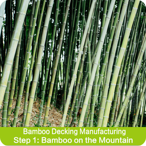 How to Produce Bamboo Decking