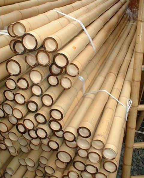 bamboo poles bamboo pole