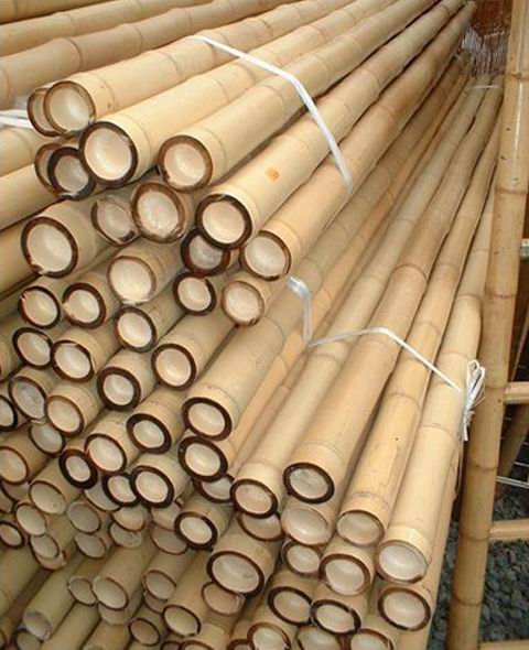 bamboo pole