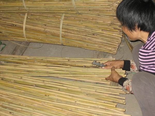 Quality Checking Bamboo Poles bamboo pole