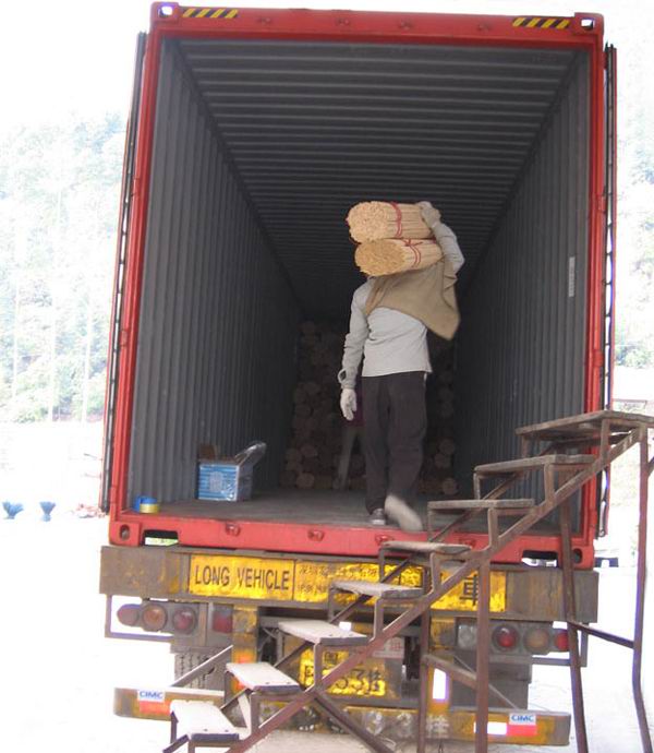 Loading Bamboo Poles into Container bamboo pole