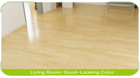 Natural Horizontal Solid Bamboo Flooring Natural Horizontal Solid Bamboo Flooring